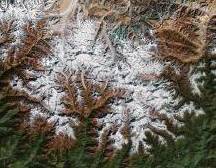 photo satellite everest